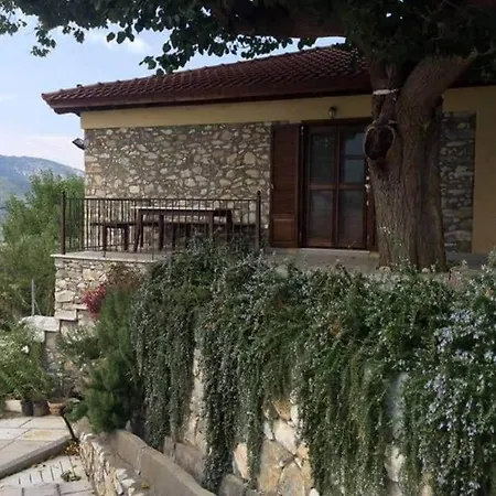 Holiday home Andrea's House *